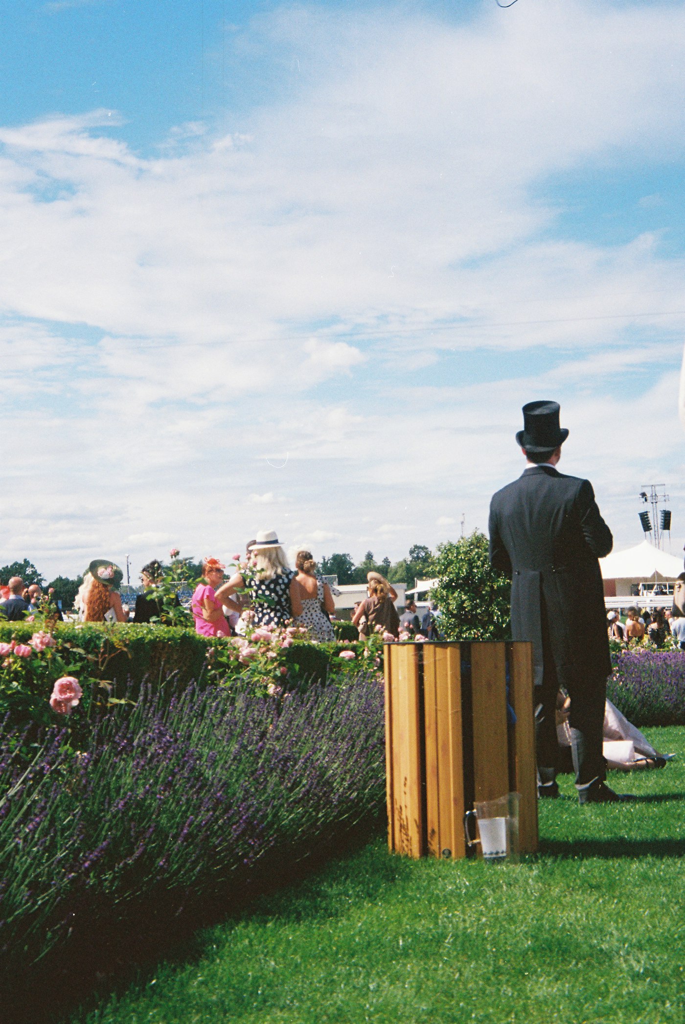 Man in a top hat and morning suit at the races